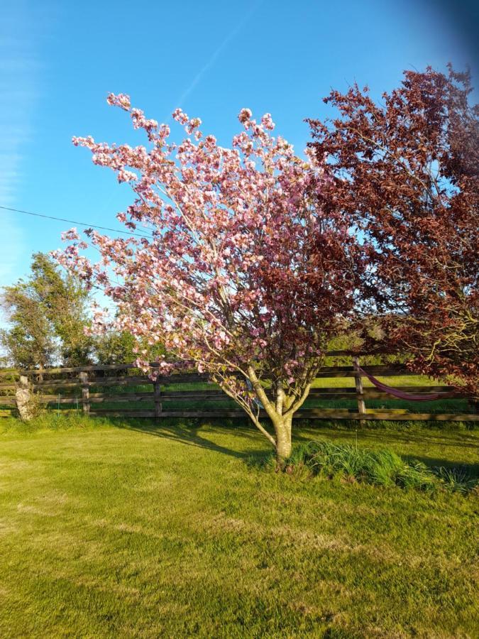 Shadowvale E34X773 Tipperary Exterior foto