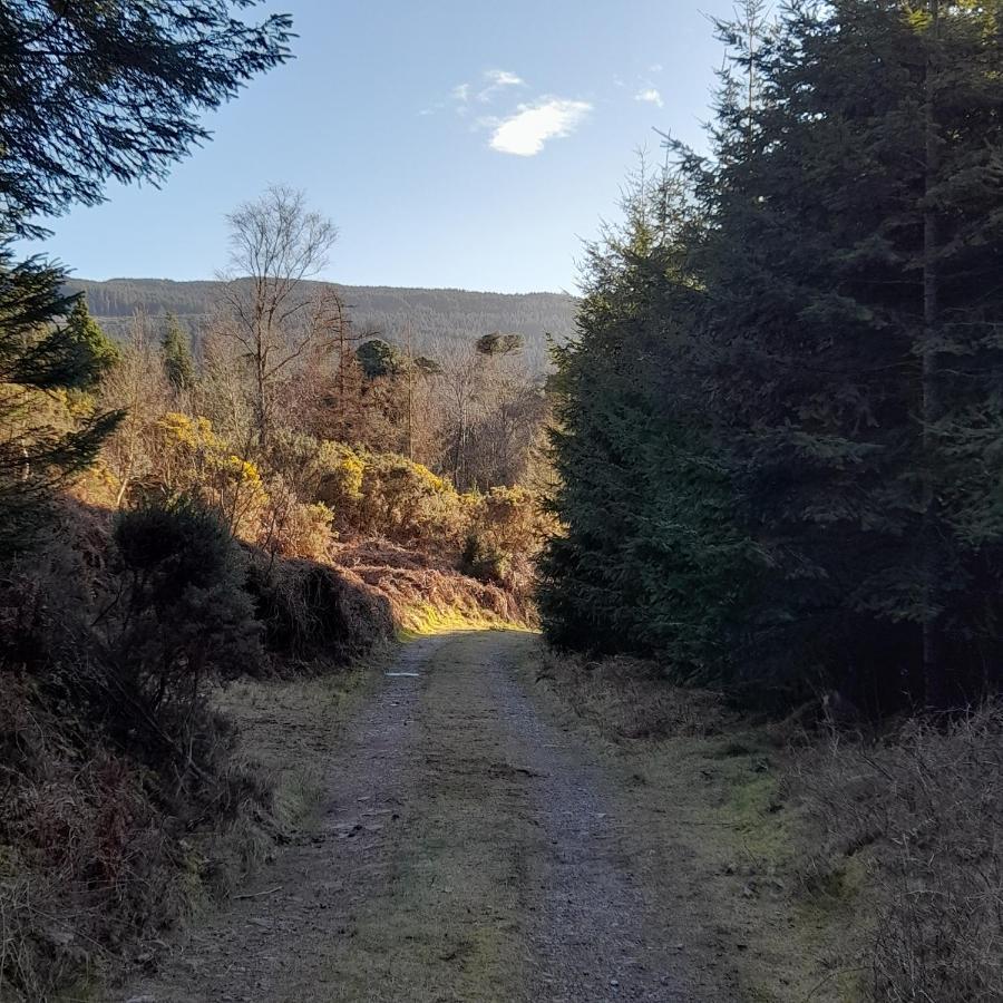 Shadowvale E34X773 Tipperary Exterior foto